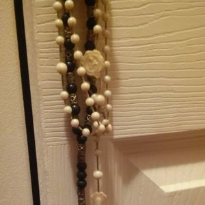 Meet your Posher, Elvis